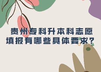 哪些人适合贵州省专科升本科？